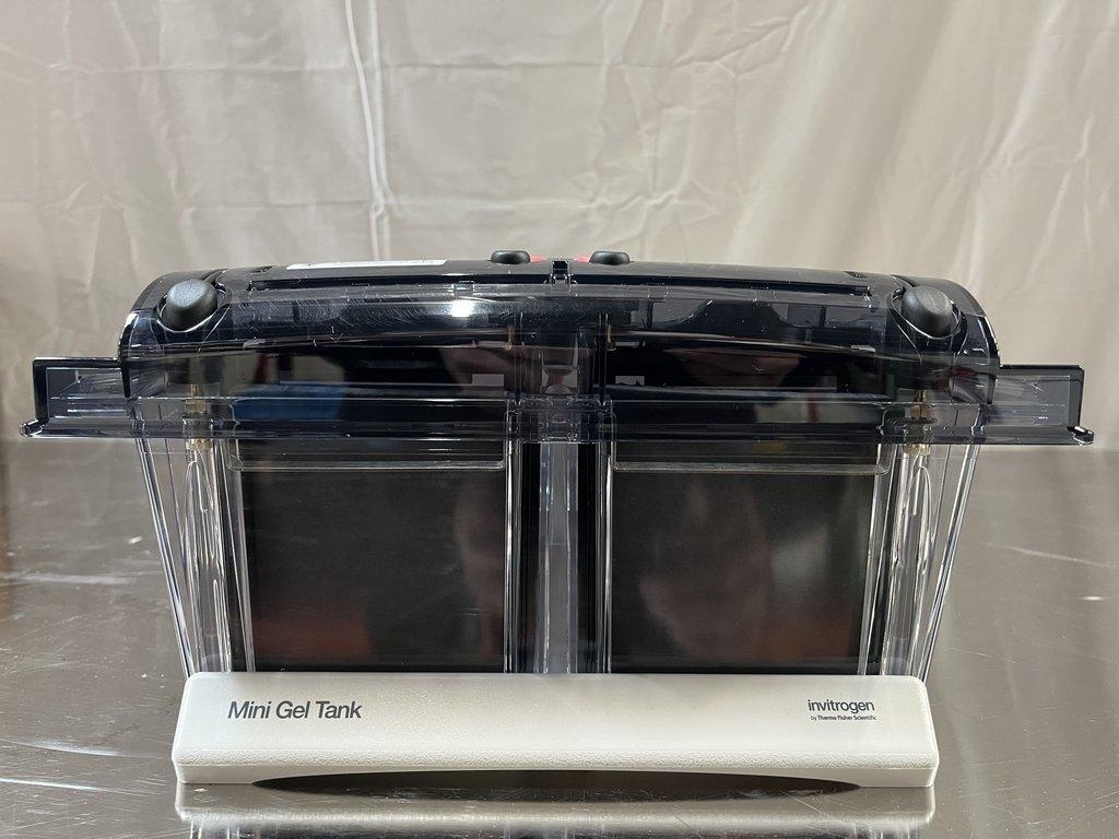 Thermo Scientific Mini Gel Tank A25977 Gel Electrophoresis System Good